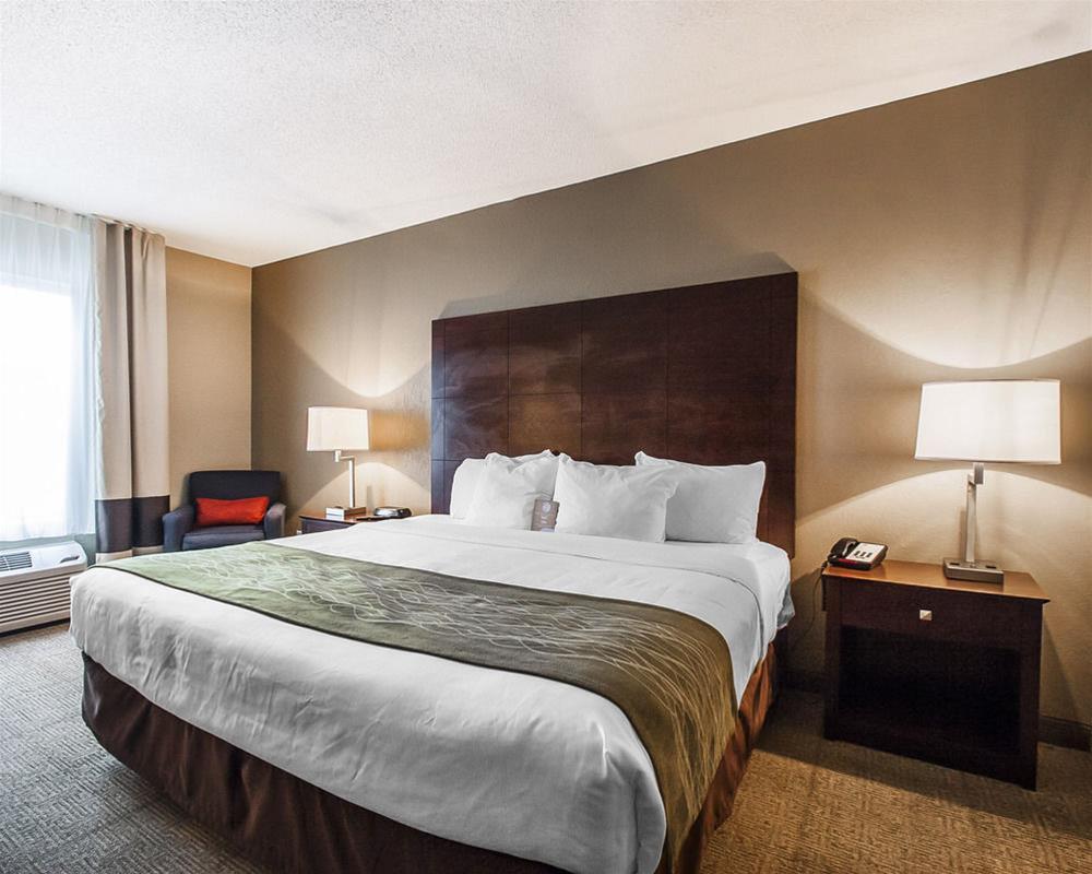 Comfort Inn Us Hwy 80 Demopolis Bagian luar foto