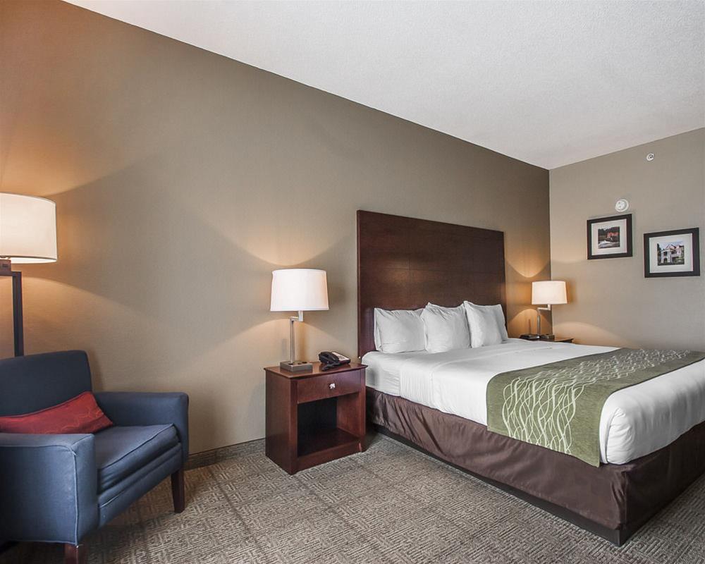 Comfort Inn Us Hwy 80 Demopolis Bagian luar foto