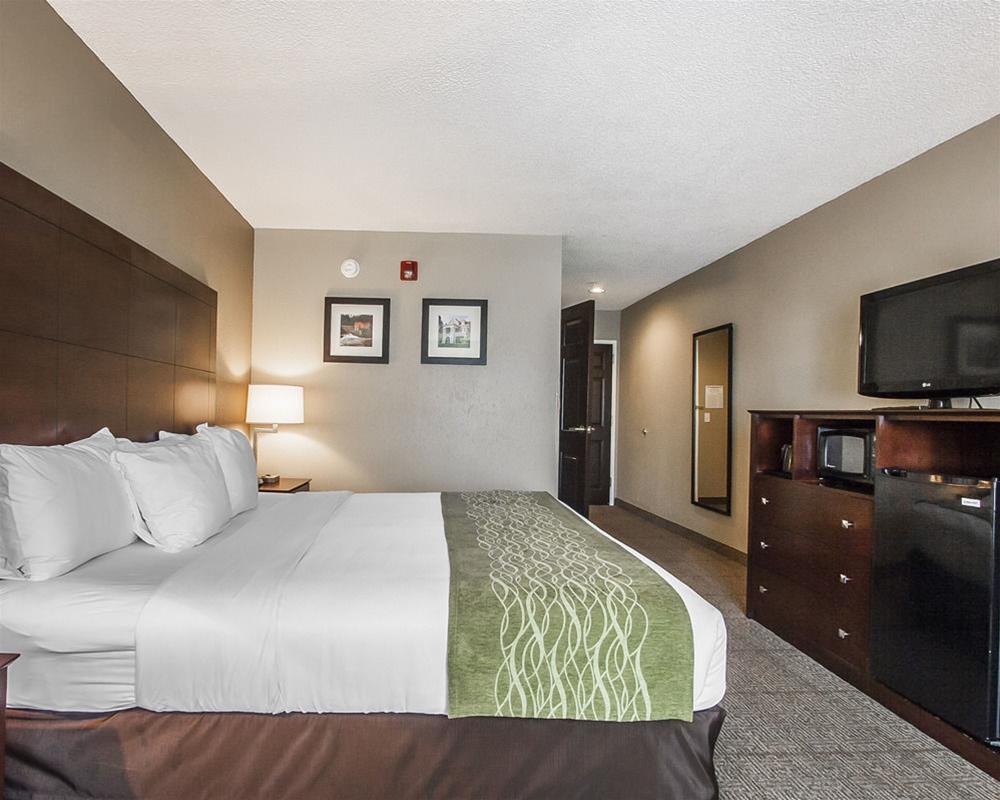 Comfort Inn Us Hwy 80 Demopolis Bagian luar foto