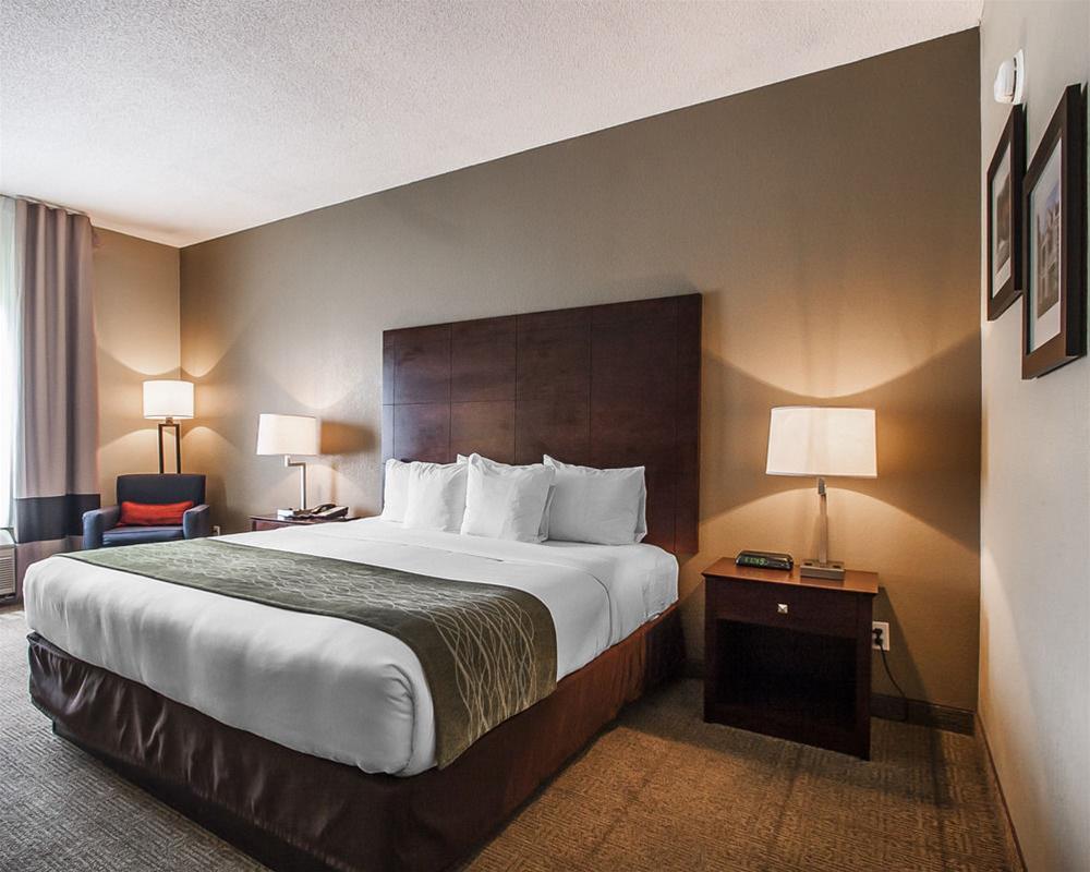 Comfort Inn Us Hwy 80 Demopolis Bagian luar foto